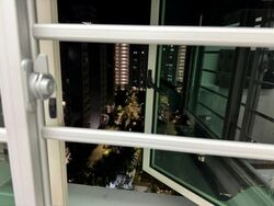 Blk 175D Punggol Field (Punggol), HDB 5 Rooms #517099771
